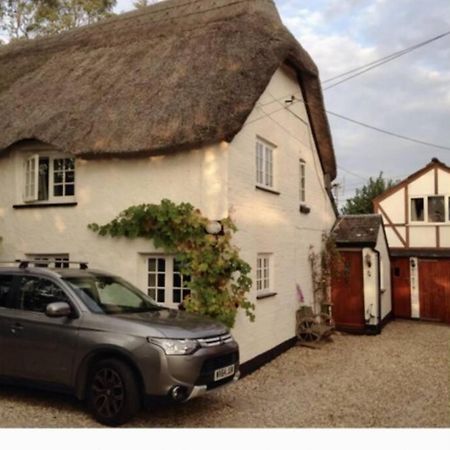 Dog Friendly Studio Flat Apartment Topsham Exterior photo