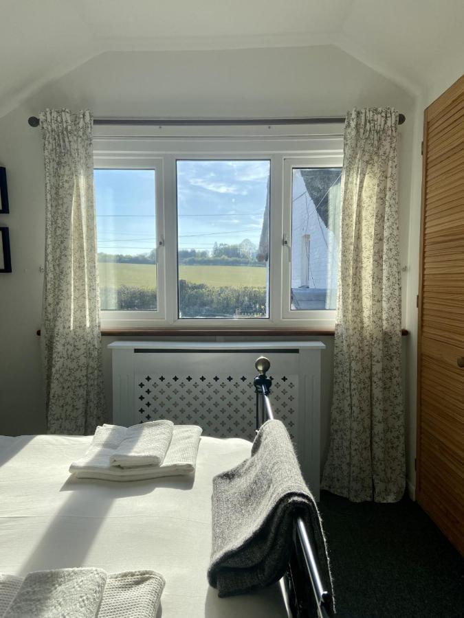 Dog Friendly Studio Flat Apartment Topsham Exterior photo