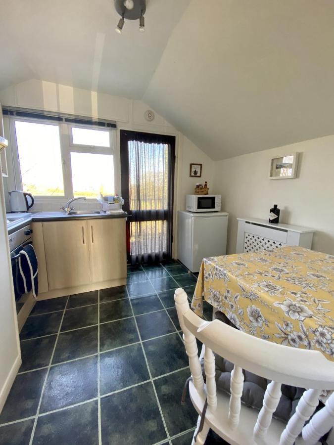 Dog Friendly Studio Flat Apartment Topsham Exterior photo