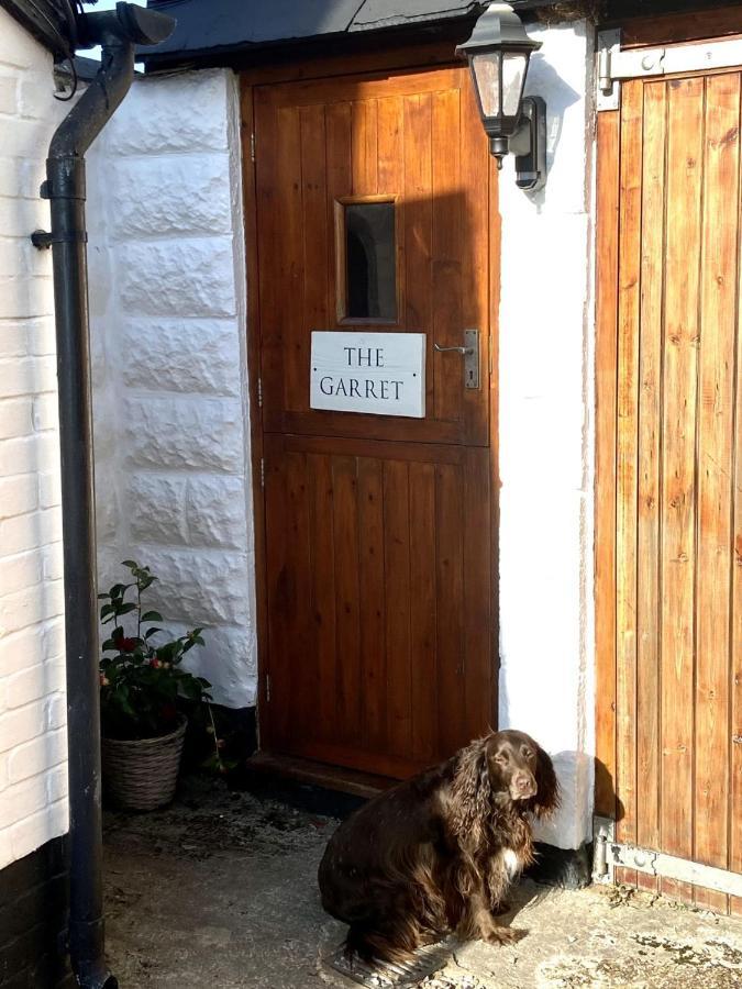 Dog Friendly Studio Flat Apartment Topsham Exterior photo