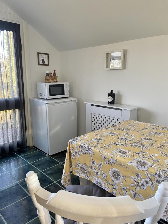 Dog Friendly Studio Flat Apartment Topsham Exterior photo
